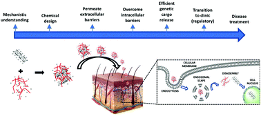 Graphical abstract: Polymer-based non-viral vectors for gene therapy in the skin