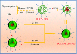 Graphical abstract: Facile synthesis of PEGylated dendritic polyurethane as unimolecular micelles for ultrasound-triggered localized drug delivery