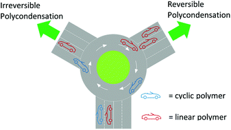 Graphical abstract: Importance of a reversible reaction for the synthesis of telechelic polymers by means of polycondensation using an excess of one monomer