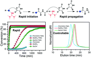 Graphical abstract: Organobase 1,1,3,3-tetramethyl guanidine catalyzed rapid ring-opening polymerization of α-amino acid N-carboxyanhydrides adaptive to amine, alcohol and carboxyl acid initiators