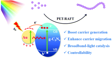 Graphical abstract: Dual enhancement of carrier generation and migration on Au/g-C3N4 photocatalysts for highly-efficient broadband PET-RAFT polymerization