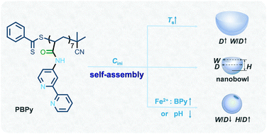 Graphical abstract: Homopolymer nanobowls with a controlled size and denting degree