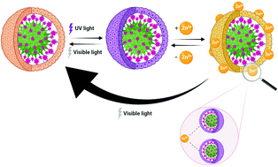 Graphical abstract: Fabrication of a light-responsive polymer nanocomposite containing spiropyran as a sensor for reversible recognition of metal ions