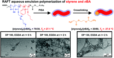 Graphical abstract: Synthesis of low glass transition temperature worms comprising a poly(styrene-stat-n-butyl acrylate) core segment via polymerization-induced self-assembly in RAFT aqueous emulsion polymerization