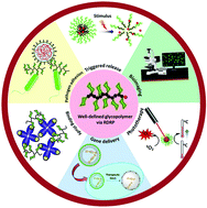 Graphical abstract: Tailor-made glycopolymers via reversible deactivation radical polymerization: design, properties and applications