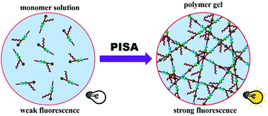 Graphical abstract: A polymerization-induced gelation process visualized by nontraditional clustering-triggered emission