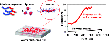 Graphical abstract: Nano-dimensional spheres and worms as fillers in polymer nanocomposites: effect of filler morphology