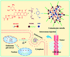 Graphical abstract: Facile synthesis of a hyperbranched polymer prodrug as unimolecular micelles for overcoming multidrug resistance