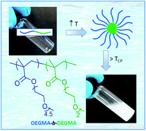 Graphical abstract: Thermoresponsive oligo(ethylene glycol) methyl ether methacrylate based copolymers: composition and comonomer effect