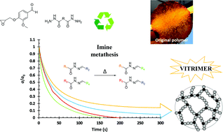 Graphical abstract: Synthesis and characterization of new bio-based poly(acylhydrazone) vanillin vitrimers