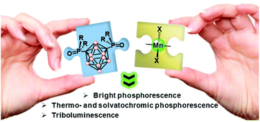 Graphical abstract: Photo- and triboluminescent robust 1D polymers made of Mn(ii) halides and meta-carborane based bis(phosphine oxide)
