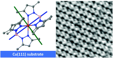 Graphical abstract: Robust magnetic anisotropy of a monolayer of hexacoordinate Fe(ii) complexes assembled on Cu(111)