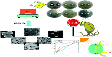Graphical abstract: Facile fabrication of Tl4HgI6 nanostructures as novel antibacterial and antibiofilm agents and photocatalysts in the degradation of organic pollutants