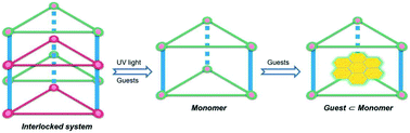 Graphical abstract: Coordination assembly and host–guest chemistry of a triply interlocked [2]catenane