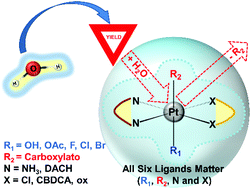 Graphical abstract: On the hydrolytic stability of unsymmetric platinum(iv) anticancer prodrugs containing axial halogens