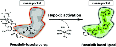 Graphical abstract: Development of a cobalt(iii)-based ponatinib prodrug system