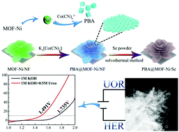 Graphical abstract: Hollow bimetallic selenide derived from a hierarchical MOF-based Prussian blue analogue for urea electrolysis