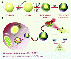 Graphical abstract: NIR-triggered biodegradable MOF-coated upconversion nanoparticles for synergetic chemodynamic/photodynamic therapy with enhanced efficacy