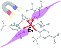 Graphical abstract: Pseudo-tetrahedral vs. pseudo-octahedral ErIII single molecule magnets and the disruptive role of coordinated TEMPO radical