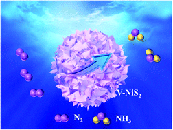 Graphical abstract: Vanadium-doped NiS2 porous nanospheres with high selectivity and stability for the electroreduction of nitrogen to ammonia