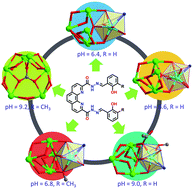 Graphical abstract: pH manipulates the assembly of a series of dysprosium clusters with subtle differences