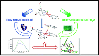 Graphical abstract: Heteroleptic Cu(ii) saccharin complexes: intriguing coordination modes and properties