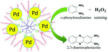 Graphical abstract: “Click” dendrimer-Pd nanoparticle assemblies as enzyme mimics: catalytic o-phenylenediamine oxidation and application in colorimetric H2O2 detection