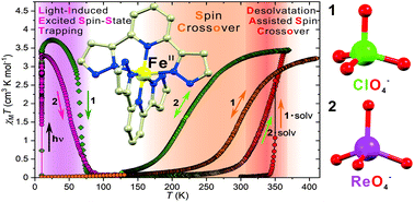 Graphical abstract: Switching on thermal and light-induced spin crossover by desolvation of [Fe(3-bpp)2](XO4)2·solvent (X = Cl, Re) compounds