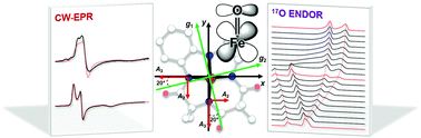 Graphical abstract: EPR spectroscopy elucidates the electronic structure of [FeV(O)(TAML)] complexes