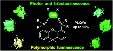 Graphical abstract: A family of Mn(ii) complexes exhibiting strong photo- and triboluminescence as well as polymorphic luminescence