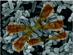 Graphical abstract: A rutile TiO2 nanobundle as a precursor of an efficient visible-light photocatalyst embedded with Fe2O3