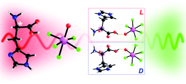 Graphical abstract: Systematic centricity control using a chiral template: novel noncentrosymmetric polar niobium oxyfluorides and tantalum fluorides directed by chiral histidinium cations, [(l-hisH2)NbOF5], [(d-hisH2)NbOF5], [(l-hisH2)TaF7], and [(d-hisH2)TaF7]