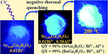 Graphical abstract: MGa2B2O7:Bi3+,Al3+ (M = Sr, Ba) blue phosphors with a quantum yield of 99% and negative thermal quenching
