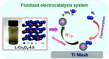 Graphical abstract: A fluidized electrocatalysis approach for ammonia synthesis using oxygen vacancy-rich Co3O4 nanoparticles