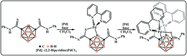 Graphical abstract: Stepwise B–H bond activation of a meta-carborane