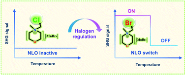Graphical abstract: Halogen regulation triggers NLO and dielectric dual switches in hybrid compounds with green fluorescence