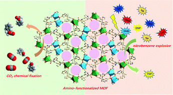 Graphical abstract: An NH2-modified {EuIII2}–organic framework for the efficient chemical fixation of CO2 and highly selective sensing of 2,4,6-trinitrophenol