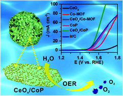 Graphical abstract: Novel synthesis of in situ CeOx nanoparticles decorated on CoP nanosheets for highly efficient electrocatalytic oxygen evolution