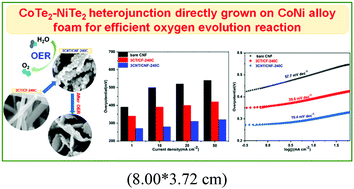 Graphical abstract: CoTe2–NiTe2 heterojunction directly grown on CoNi alloy foam for efficient oxygen evolution reaction