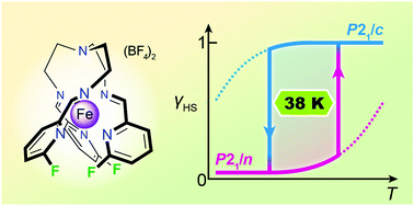 Graphical abstract: Spin transition and symmetry-breaking in new mononuclear FeII tren-complexes with up to 38 K hysteresis around room temperature