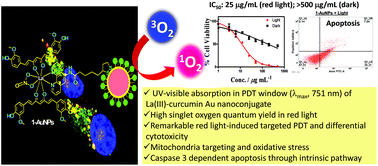 Graphical abstract: La(iii)–curcumin-functionalized gold nanocomposite as a red light-activatable mitochondria-targeting PDT agent