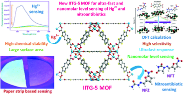 Graphical abstract: A fluorescent zirconium organic framework displaying rapid and nanomolar level detection of Hg(ii) and nitroantibiotics