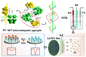 Graphical abstract: Dual-heteroatom-templated lanthanoid-inserted heteropolyoxotungstates simultaneously comprising Dawson and Keggin subunits and their composite film applied for electrochemical immunosensing of auximone