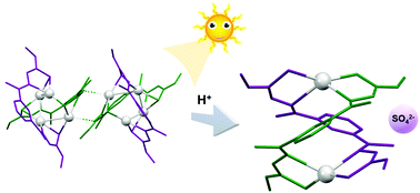 Graphical abstract: Conversion of a double-tetranuclear cluster silver helicate into a dihelicate via a rare desulfurization process