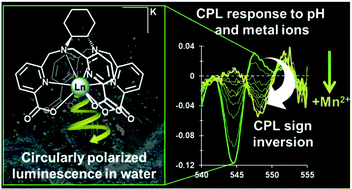Graphical abstract: Synthesis of bright water-soluble circularly polarized luminescence emitters as potential sensors