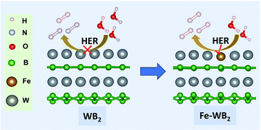 Graphical abstract: Iron covalent doping in WB2 to boost its hydrogen evolution activity