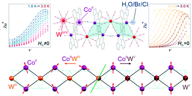 Graphical abstract: The rationalized pathway from field-induced slow magnetic relaxation in CoII–WIV chains to single-chain magnetism in isotopological CoII–WV analogues