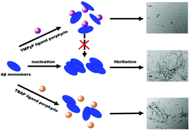 Graphical abstract: Structure and mechanism behind the inhibitory effect of water soluble metalloporphyrins on Aβ1–42 aggregation