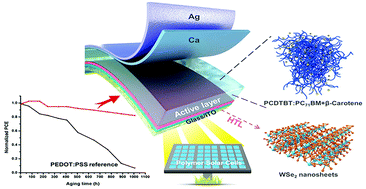 Graphical abstract: Durable polymer solar cells produced by the encapsulation of a WSe2 hole-transport layer and β-carotene as an active layer additive