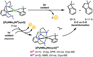 Graphical abstract: Organometallic Ni(ii), Ni(iii), and Ni(iv) complexes relevant to carbon–carbon and carbon–oxygen bond formation reactions